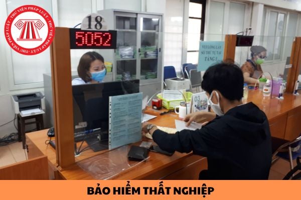 Bị kỷ luật sa thải thì có được nhận bảo hiểm thất nghiệp không?