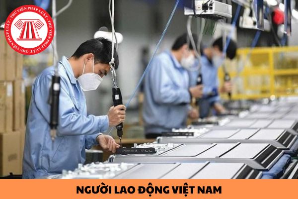 Hồ sơ đăng ký dự tuyển của người lao động Việt Nam làm việc cho tổ chức nước ngoài tại Việt Nam gồm những gì?
