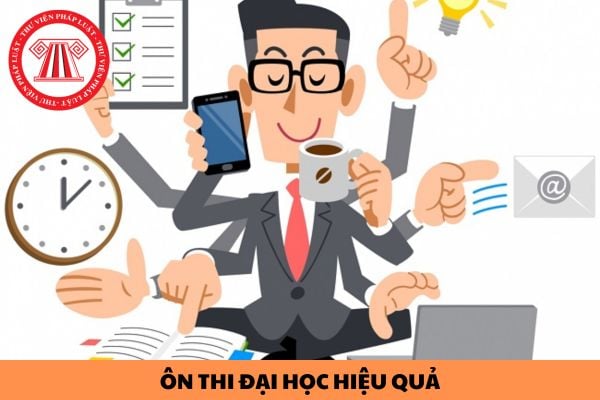 Cách để ôn thi đại học hiệu quả? Đối tượng dự thi tốt nghiệp THPT quốc gia năm 2024 gồm những đối tượng nào?