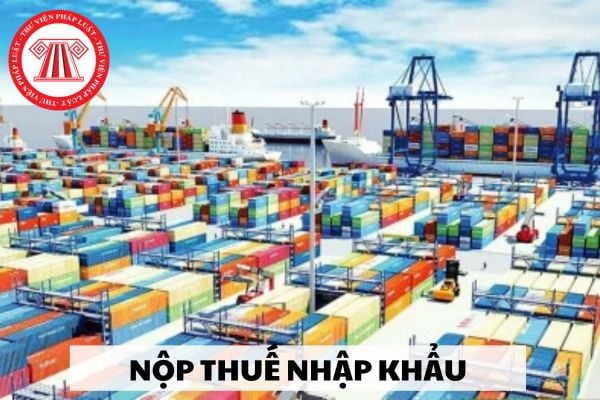 Ai được quyền bảo lãnh nộp thuế nhập khẩu thay cho người nộp thuế?