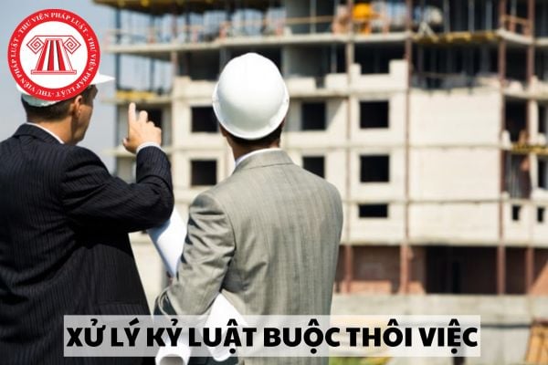 Công chức bị xử lý kỷ luật buộc thôi việc thì có được dự thi tuyển công chức vào cơ quan nhà nước hay không?