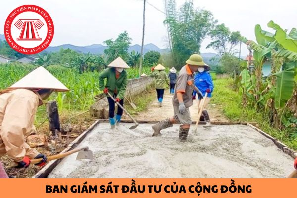 Ban Giám sát đầu tư của cộng đồng được thành lập để thực hiện hoạt động gì? 