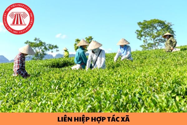 Thành viên liên kết góp vốn của liên hiệp hợp tác xã có quyền yêu cầu Hội đồng quản trị triệu tập Đại hội thành viên bất thường hay không?