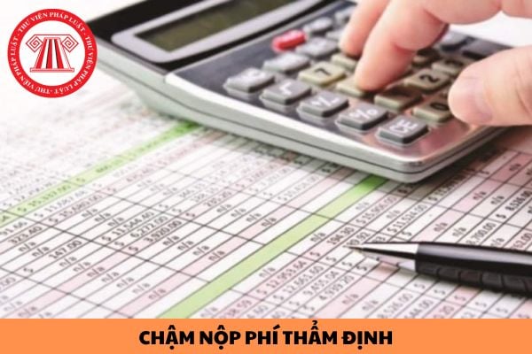 Doanh nghiệp chậm nộp phí thẩm định bao nhiêu ngày thì bị trả hồ sơ cấp giấy chứng nhận đăng ký hoạt động bán hàng đa cấp?