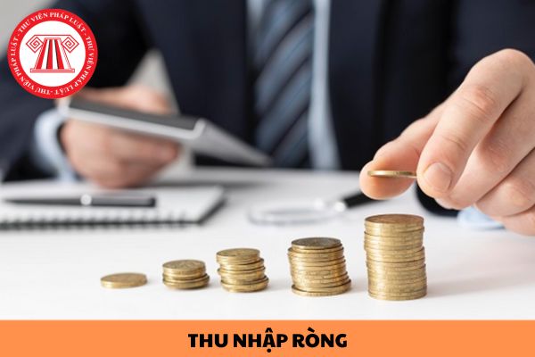 Thế nào là thu nhập ròng? Cách tính thu nhập ròng như thế nào?