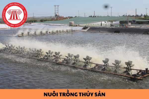 Luật Đất đai 2024: Nâng thời hạn giao khu vực biển để nuôi trồng thủy sản lên 50 năm?