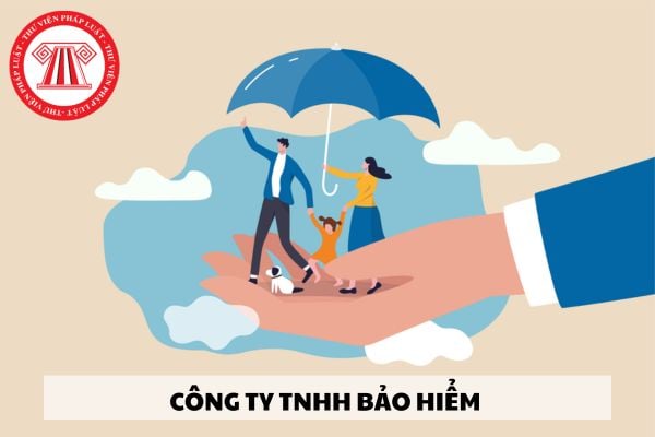 Mẫu đơn đề nghị cấp Giấy phép thành lập và hoạt động của công ty TNHH bảo hiểm như thế nào?