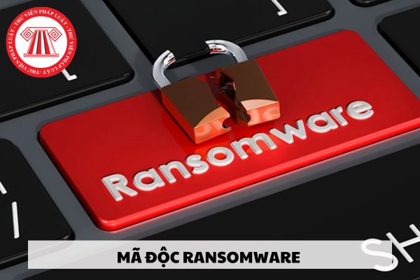 Ransomware là gì? Cài đặt Ransomware vào hệ thống máy tính của người khác có bị phạt tù không? 