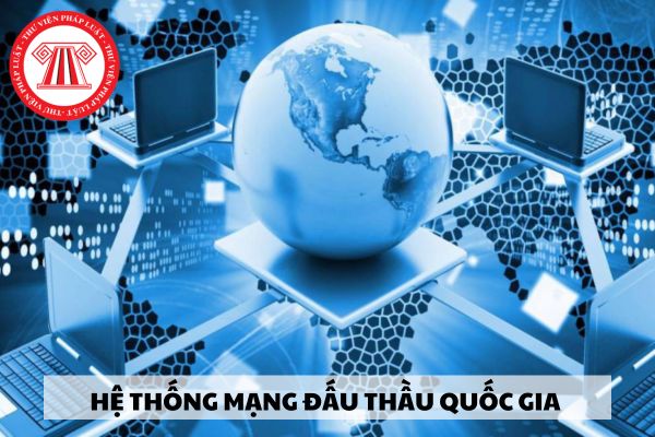 Thông tin về năng lực và kinh nghiệm của nhà thầu trên Hệ thống mạng đấu thầu quốc gia gồm những gì?