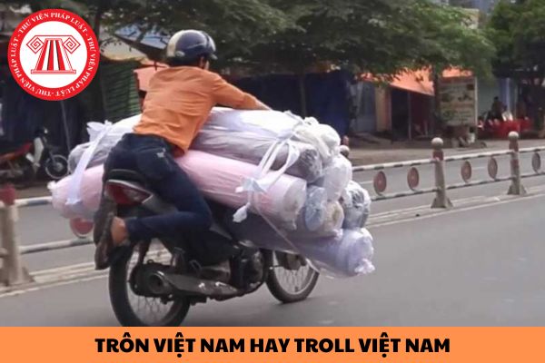 Trôn Việt Nam hay Troll Việt Nam là gì? Lừa đảo bao nhiêu tiền thì đi tù?