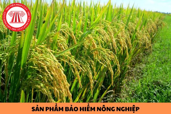 Mẫu đơn đề nghị phê chuẩn sản phẩm bảo hiểm nông nghiệp đối với cây lúa như thế nào?