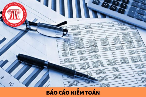 Doanh nghiệp, tổ chức nào phải thực hiện kiểm toán báo cáo tài chính hằng năm?