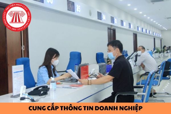 Tổng hợp mức phí yêu cầu cung cấp thông tin doanh nghiệp theo quy định của pháp luật hiện hành?