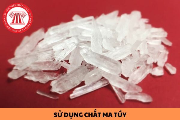 Mua bán các phương tiện, dụng cụ dùng vào việc sử dụng chất ma túy là các hành vi nào?