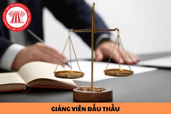 Mẫu báo cáo của giảng viên đấu thầu về hoạt động giảng dạy về đấu thầu như thế nào?