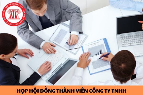 Thành viên được coi là tham dự và biểu quyết tại cuộc họp Hội đồng thành viên công ty TNHH trong trường hợp nào?