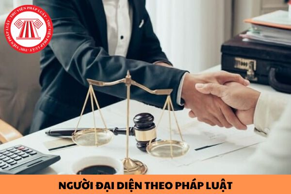 Người đại diện theo pháp luật của doanh nghiệp hoạt động dịch vụ việc làm có bắt buộc phải có trình độ đại học?