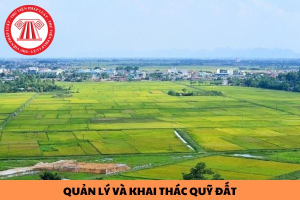 Nguyên tắc phát triển, quản lý và khai thác quỹ đất theo mới về đất đai gồm những gì?