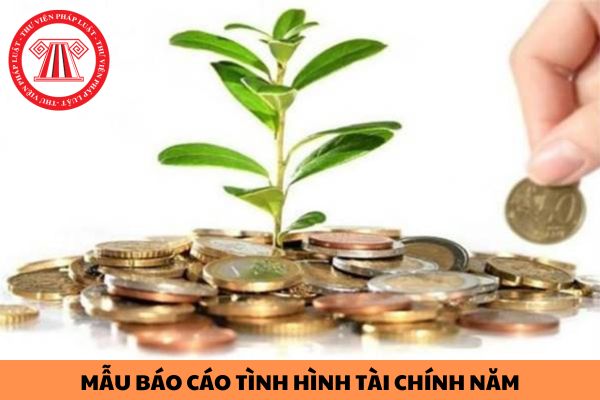 Mẫu báo cáo tình hình tài chính năm áp dụng đối với các Quỹ xã hội, Quỹ từ thiện như thế nào?