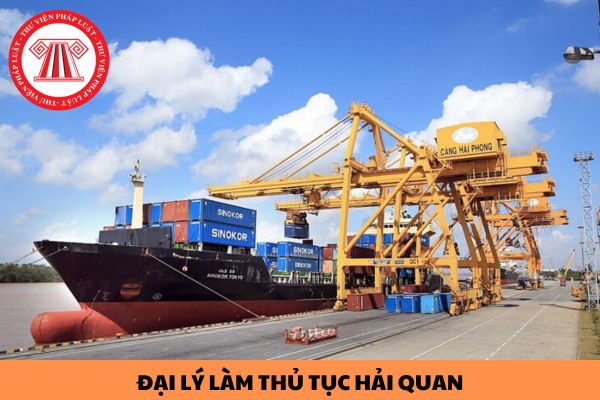 Đại lý làm thủ tục hải quan bị tạm dừng hoạt động trong các trường hợp nào?