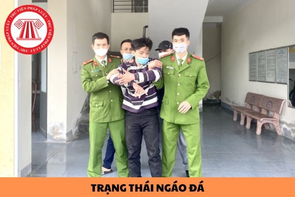 Ngáo đá là gì? Giết người khi ngáo đá có bị phạt tù không?