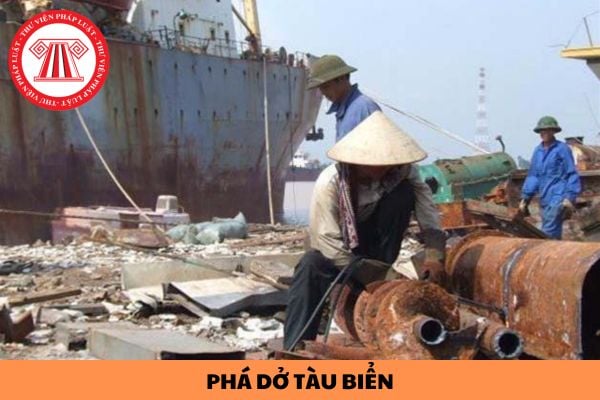 Ai có thẩm quyền quyết định đưa cơ sở phá dỡ tàu biển vào hoạt động?