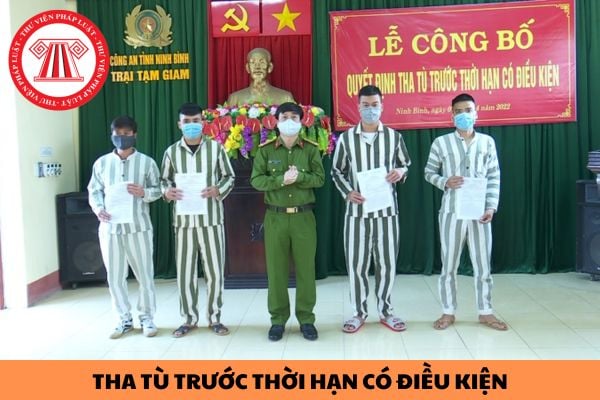 Phạm tội làm chết người trong khi thi hành công vụ thì có được tha tù trước thời hạn có điều kiện hay không?