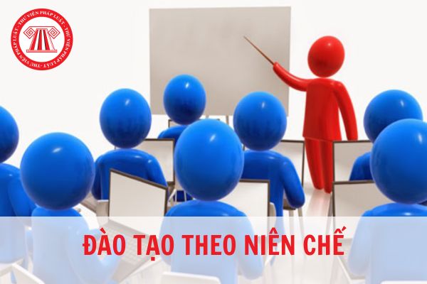 Đào tạo theo niên chế là gì? Sự khác nhau giữa đào tạo theo niên chế và đào tạo theo tín chỉ?