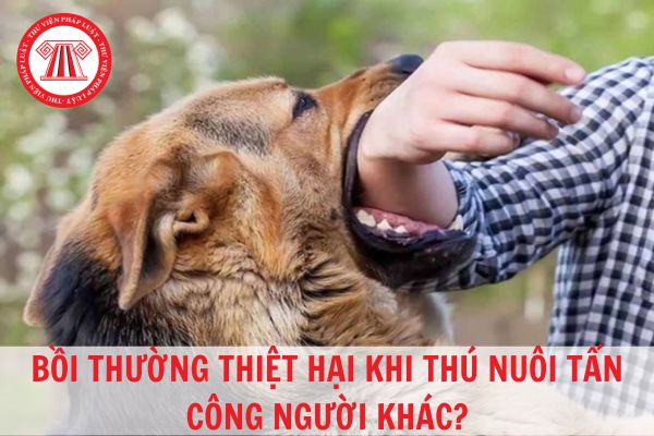 Thú nuôi tấn công người khác thì chủ nuôi có phải bồi thường thiệt hại?