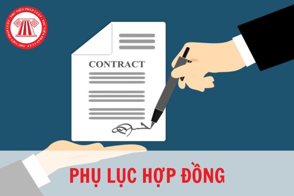 Phụ lục hợp đồng là gì? Sự khác biệt giữa phụ lục hợp đồng là hợp đồng phụ là gì?