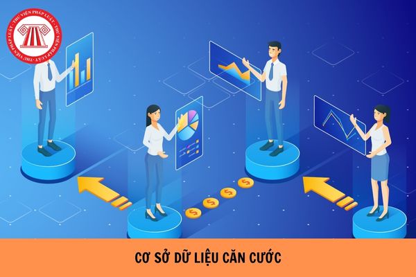 Toàn bộ thông tin trong Cơ sở dữ liệu căn cước mới nhất gồm những gì?