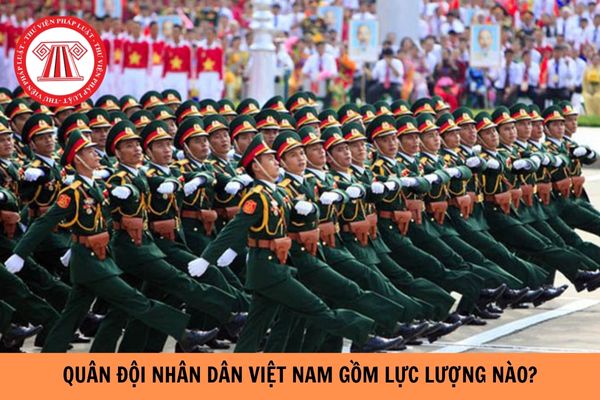 Các Lực Lượng Của Quân Đội Nhân Dân Việt Nam