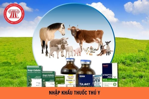 Nhập khẩu thuốc thú y đăng ký lưu hành trước hay đăng ký đủ điều kiện nhập khẩu trước?