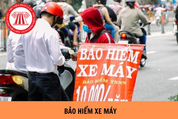 Bảo hiểm xe máy có bắt buộc không 2024? Không mang bảo hiểm xe máy bị phạt bao nhiêu?