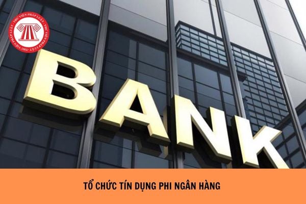 Nội dung hoạt động kiểm soát của tổ chức tín dụng phi ngân hàng được quy định như thế nào?