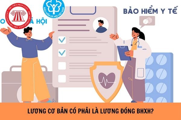 Lương cơ bản có phải là lương đóng bảo hiểm xã hội hay không?