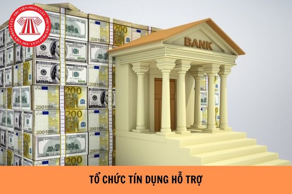 Tổ chức tín dụng hỗ trợ là gì? Điều kiện đối với tổ chức tín dụng hỗ trợ năm 2024?