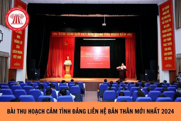 Mẫu bài thu hoạch cảm tình đảng liên hệ bản thân mới nhất 2024?