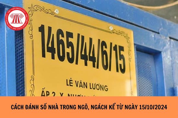 Cách đánh số nhà trong ngõ, ngách kể từ ngày 15/10/2024?