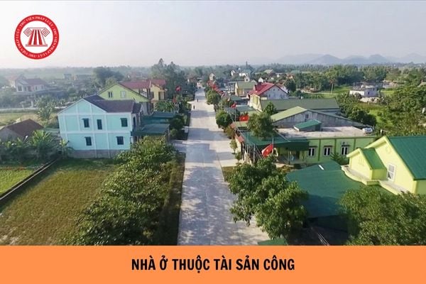 Cơ quan nào là đại diện chủ sở hữu nhà ở thuộc tài sản công?