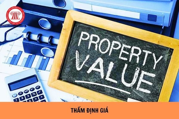 Việc thanh tra, kiểm tra hoạt động về giá, thẩm định giá thực hiện theo nguyên tắc nào?