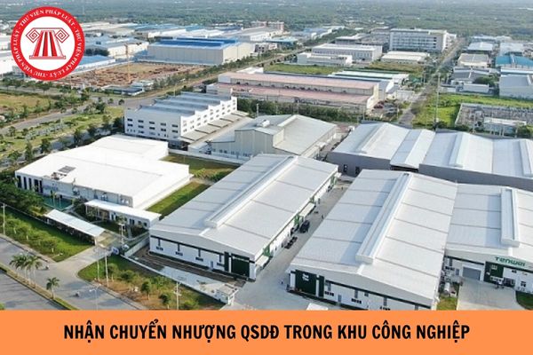 Người gốc Việt Nam định cư ở nước ngoài được phép nhận chuyển nhượng QSDĐ trong khu công nghiệp từ ngày 01/01/2025?