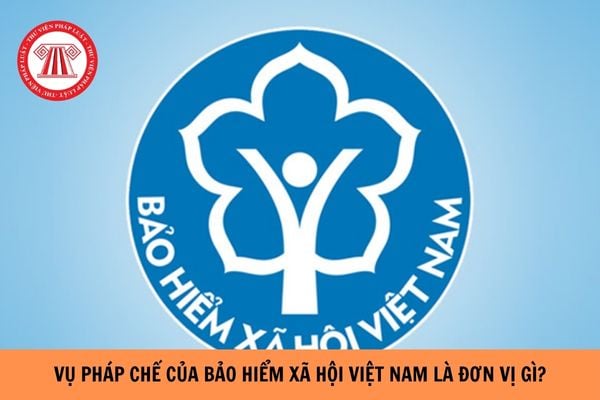 Vụ Pháp chế của BHXH Việt Nam là đơn vị như thế nào? Vụ Pháp chế BHXH Việt Nam chịu sự quản lý và chỉ đạo của ai?