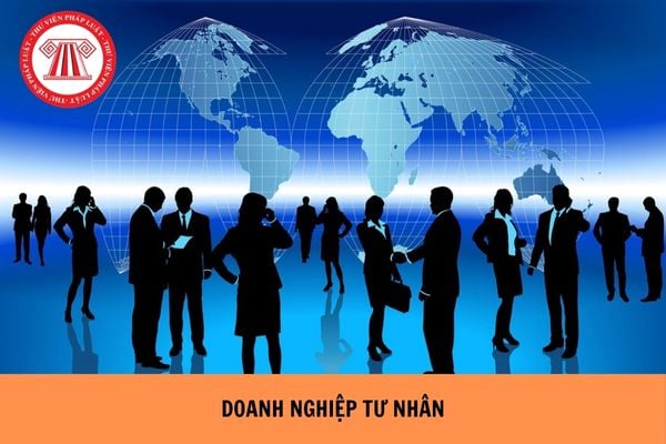 Doanh nghiệp tư nhân không thể chuyển đổi sang loại hình doanh nghiệp nào?