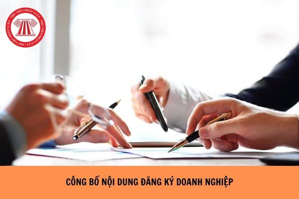 Doanh nghiệp có phải công bố nội dung đăng ký doanh nghiệp không?