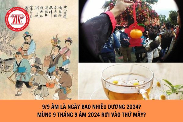 9/9 âm là ngày bao nhiêu dương 2024? Mùng 9 tháng 9 âm 2024 rơi vào thứ mấy?