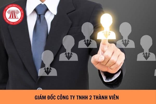 Ai là người ký hợp đồng lao động với giám đốc công ty TNHH 2 thành viên?