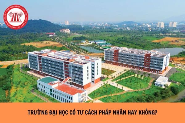 Trường đại học có tư cách pháp nhân hay không?