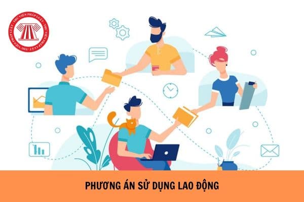 Người lao động không chấp hành phương án sử dụng lao động có được xử lý kỷ luật không? 