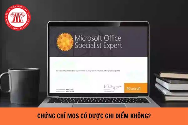 Chứng chỉ MOS có được ghi điểm không? Nội dung các bài thi chứng chỉ MOS là gì?